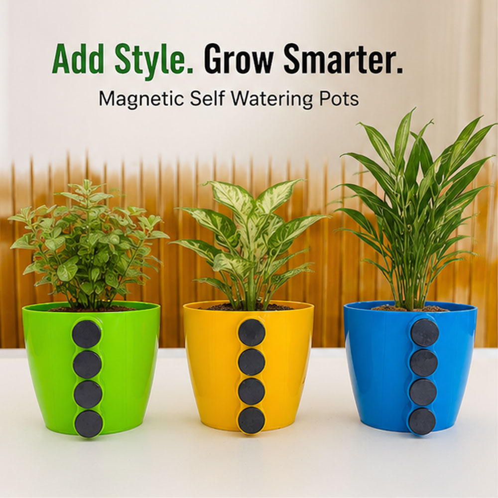 Magnetic Plant Pot Combo Pack of 3 for Home Décor