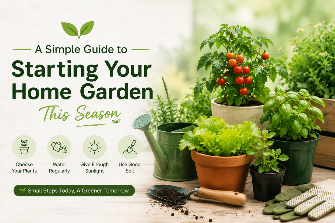 A Simple Guide to Starting Your Home Garden This Season