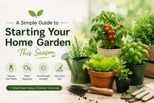 A Simple Guide to Starting Your Home Garden This Season