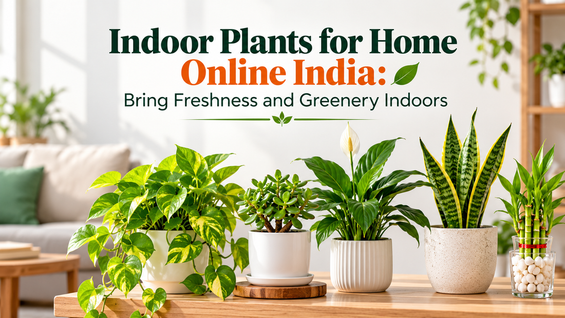 Rare Exotic Fruit Plants India: Add Unique Fruits to Your Home Garden