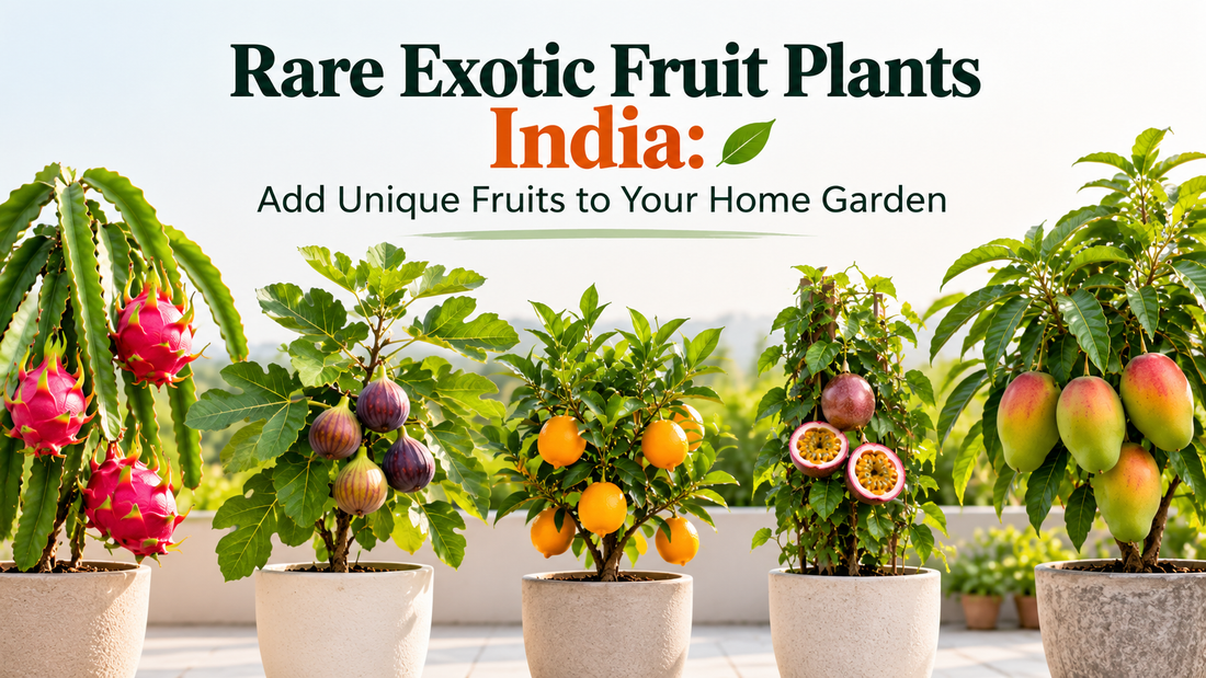 Rare Exotic Fruit Plants India: Add Unique Fruits to Your Home Garden