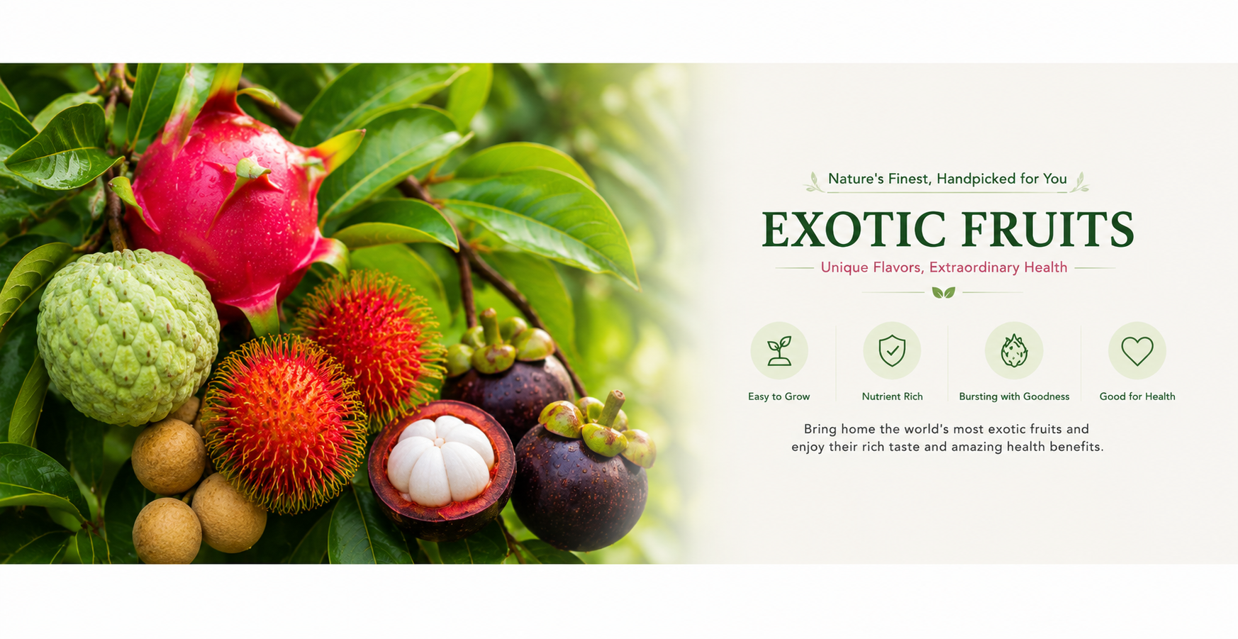 exotic fruit plants online India