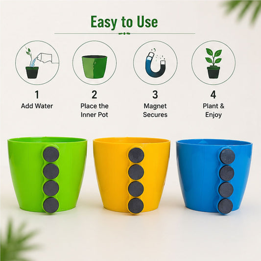 Magnetic Plant Pot Combo Pack of 3 for Home Décor