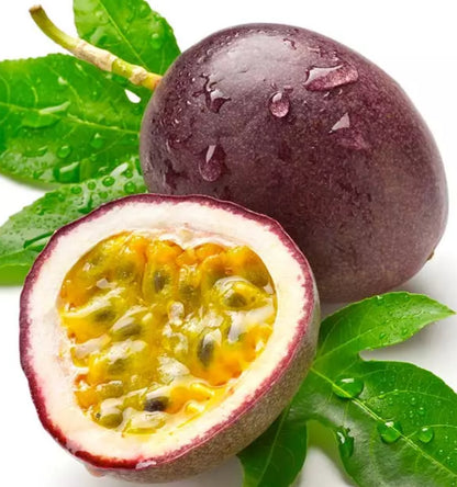 Passion Fruit Live Plant Climber Vine