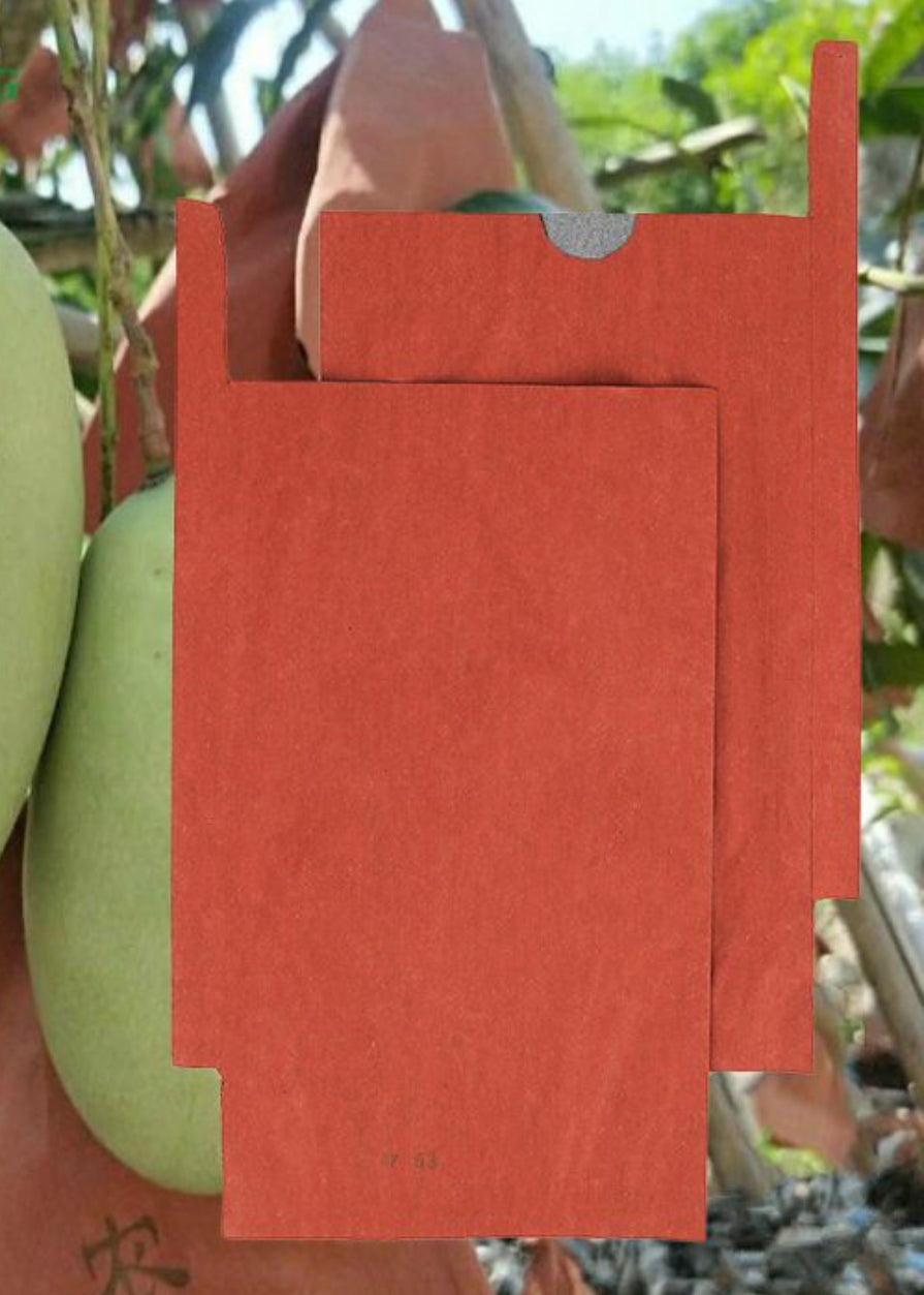 Crop Cover Mango  (Minimum 200 pcs)