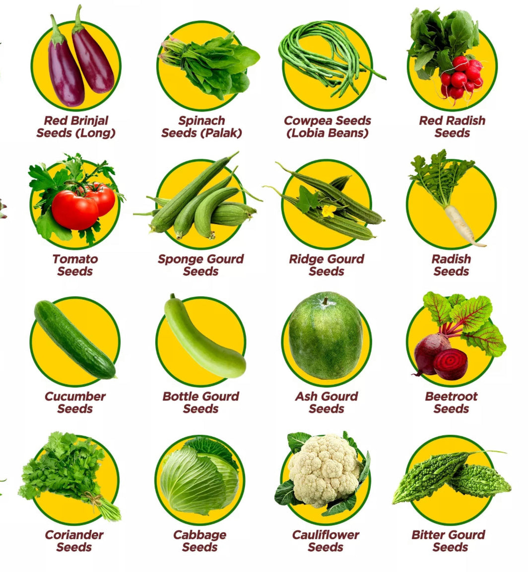 Vegetable Seed Kit for Home Gardening