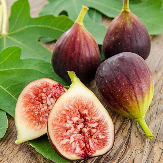 Turkish Brown Fig